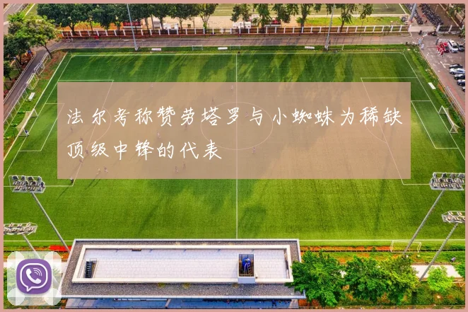 法尔考称赞劳塔罗与小蜘蛛为稀缺顶级中锋的代表